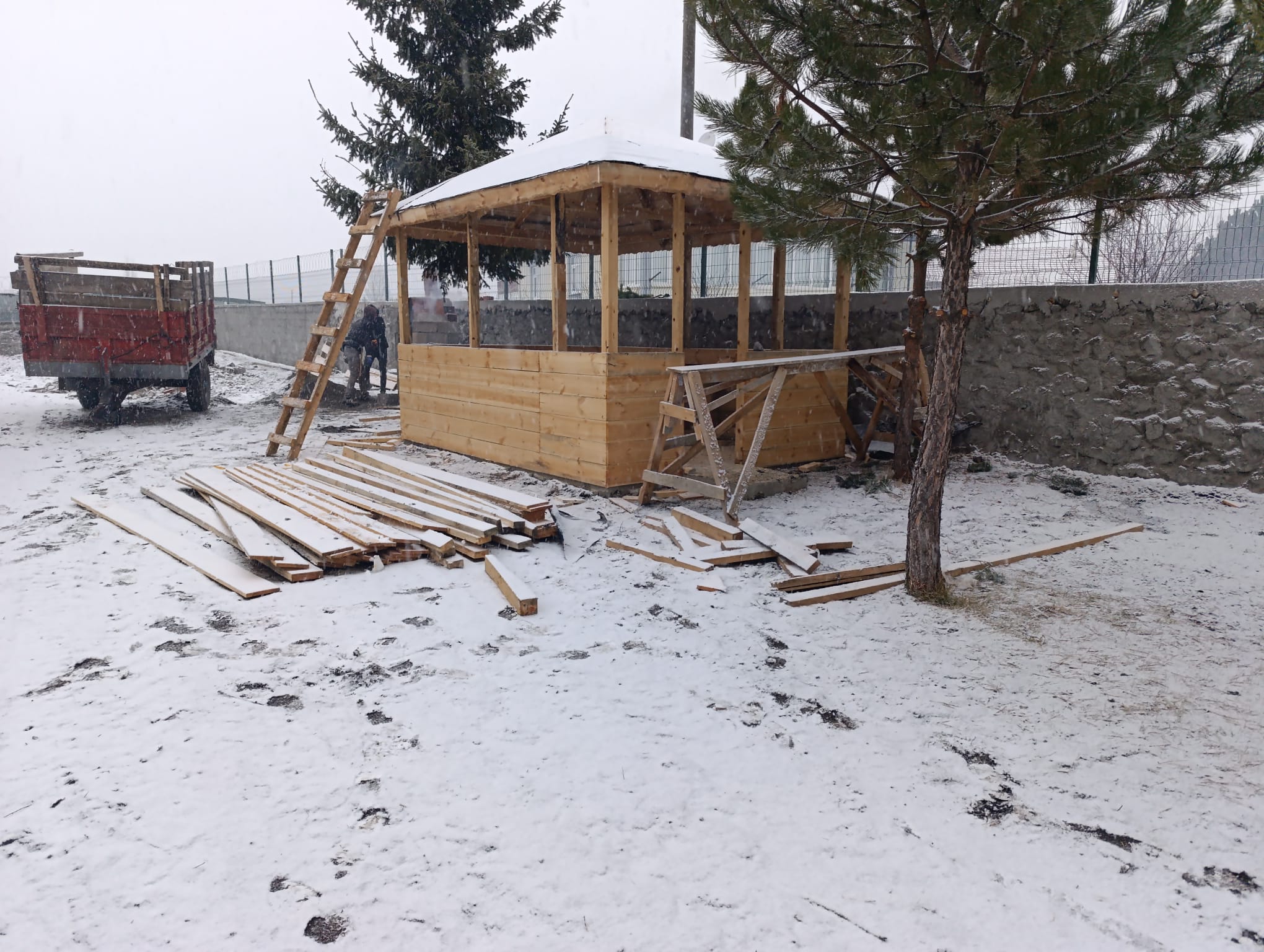 Kamelya Yapımı uygulama 2